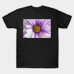 Purple Daisy Gerbera T-Shirt